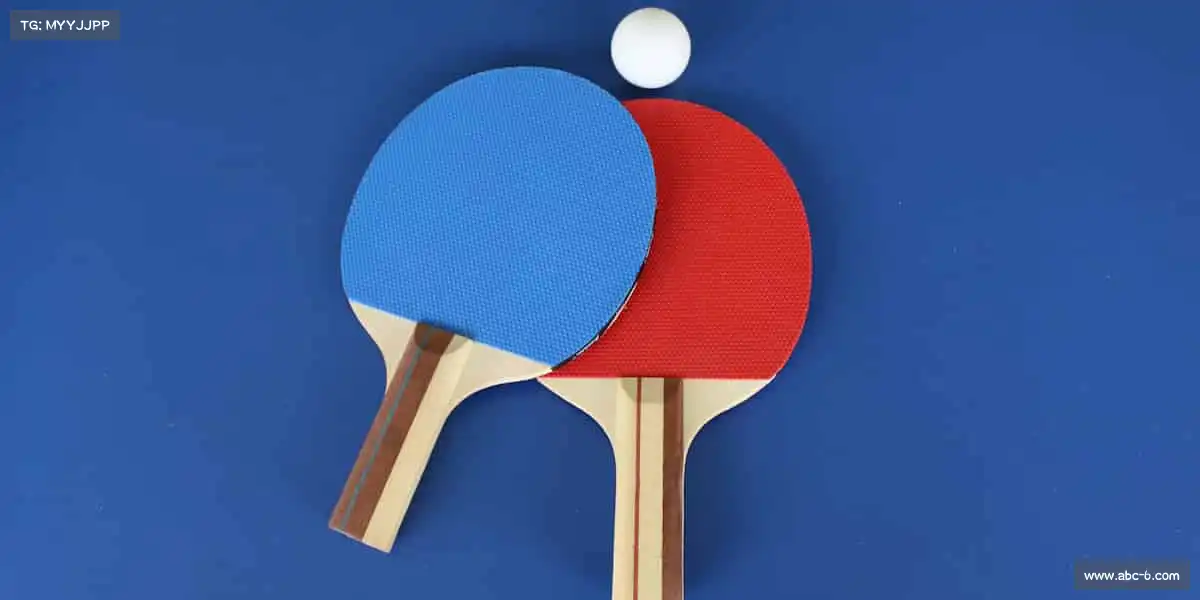 南宫NG28🏐排球扬起，青春飞扬！和我们一起，感受运动的无限活力～